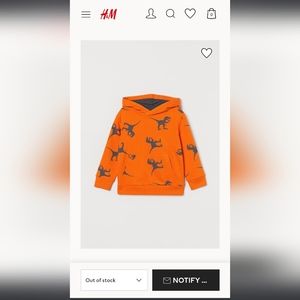 H&M hoodie 2t